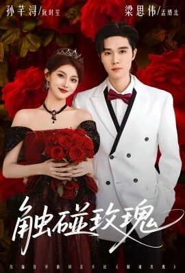 触碰玫瑰（凌晨四点半，玫瑰花未眠）(全集)