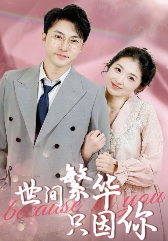 世间繁华只因你(全集)