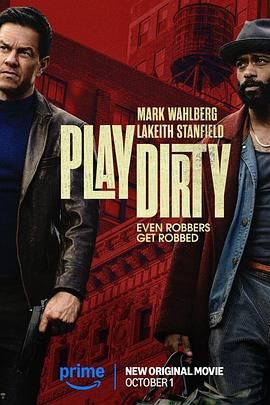 盗亦有道2025(全集)