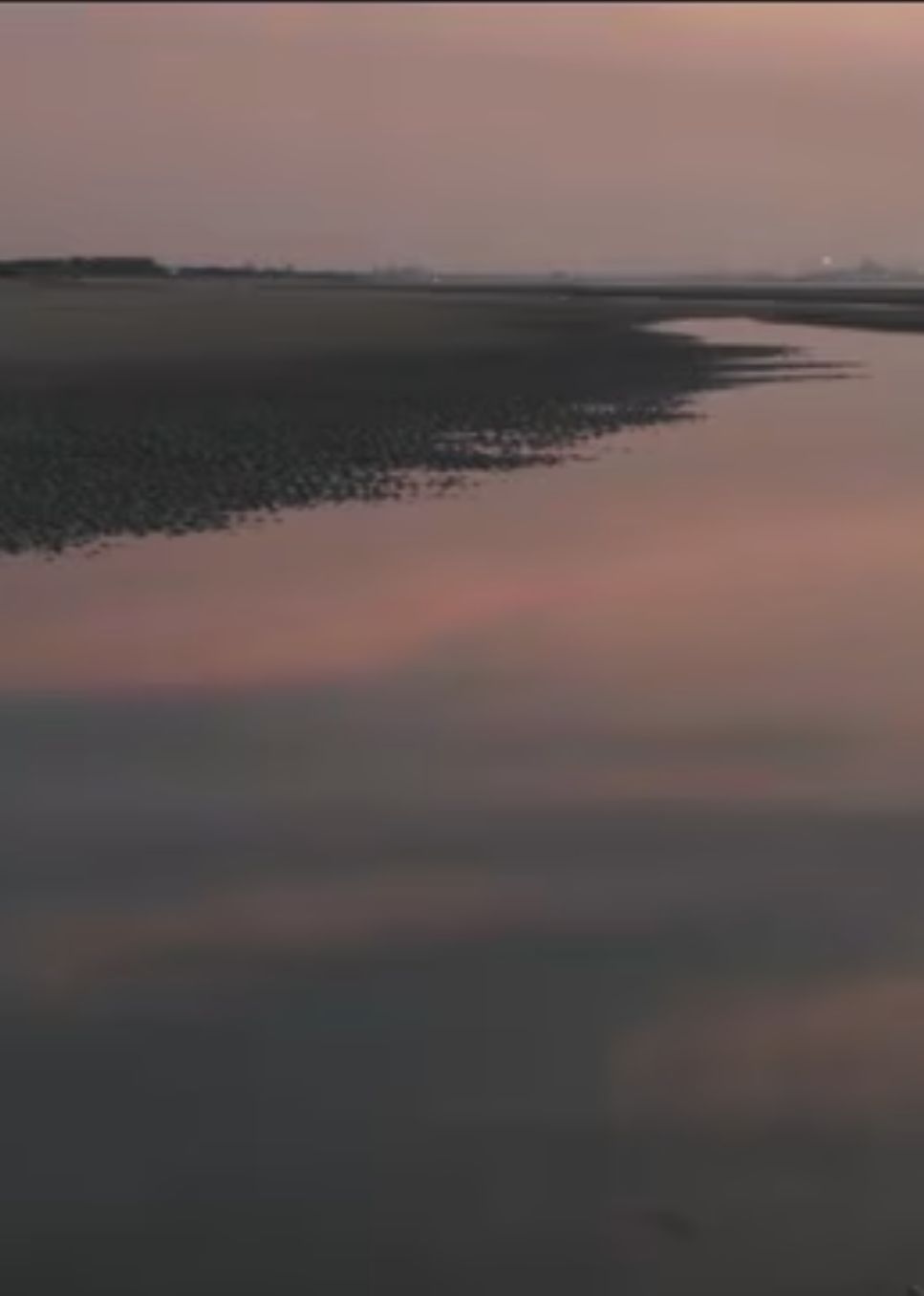 两个爸爸的故事​(全集)